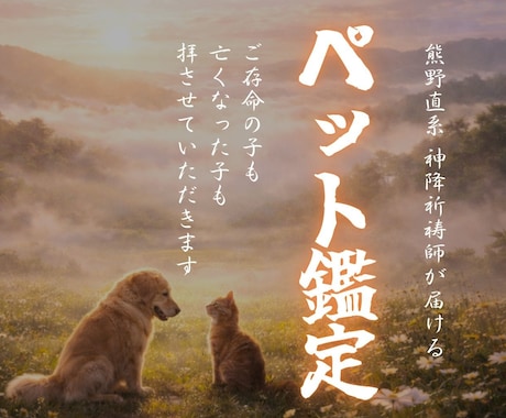 ペット・霊視鑑定｜丁寧に霊視し、お届けします ペット様が抱えている想い・気配・相性を知りたい方へ。 イメージ1