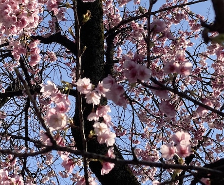 単発案件のよろず相談受けます よろず相談事、単発の案件はこちらへどうぞ イメージ1