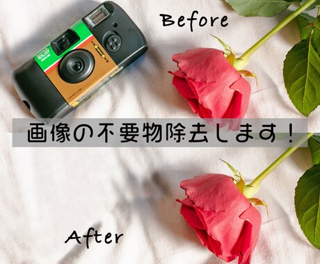 3枚で1000円!!画像の不要物を除去します ココナラ登録記念で格安!即日対応も可能です! イメージ1