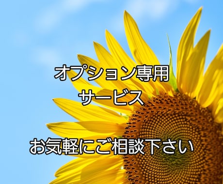 専用です！　内容についてお話し合い後鑑定致します それぞれご自分に合ったプランのご提案をさせていただきます イメージ1