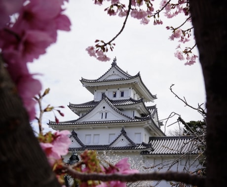 日本語の会話の相手になります 日本語で楽しく話しましょう！どんな話でもok イメージ1