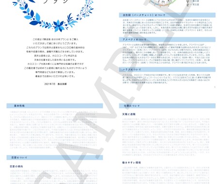 性格や才能、恋愛傾向など総合的に鑑定します 自分の進路や将来設計に迷っている方に！自分分析プラン イメージ2