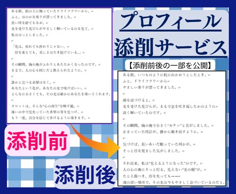 AIを活用して、目に留まる販売ページを作成します 悩むあなたの代わりに売れやすいページをたった数日で作成！ イメージ2