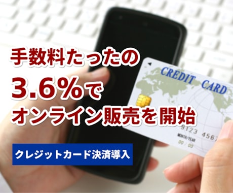 ホームページ上でカード決済での販売を可能にします クレジットカード決済システム Stripeを導入（最短1日） イメージ1