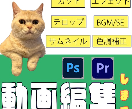 動画編集作業、代行します 保育士経験者ママが素材の良さを引き出します！ イメージ1