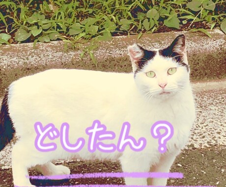 お姉ちゃんとして話を聞きます 60分間あなたの話を聞かせて下さい。 イメージ1