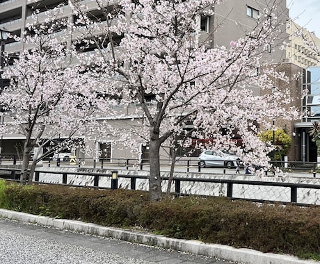 女性限定‼︎子育て日常のモヤモヤ愚痴を聞きます 電話が苦手な方も安心。LINE感覚で気軽に吐き出してください イメージ1