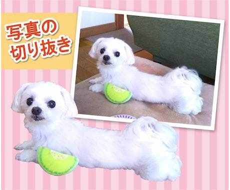 写真データを切り抜きます 切り抜き素材がほしい、コラージュに使いたいあなたへ！ イメージ1