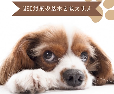 MEO対策の基本を教えます 実は失敗しがちなポイントを丁寧に解説します イメージ1