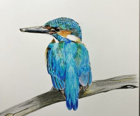 写真からペットイラストを色鉛筆で手描きします 写真とは違う温もりを優しいタッチで、心を込めて制作します イメージ2
