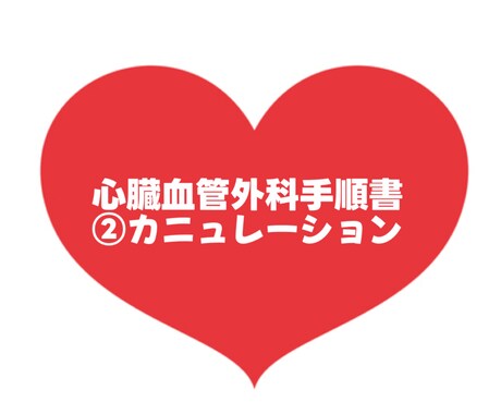 大人気！心臓血管外科手術手順書お渡します 心臓血管外科/手術/手術室看護師/②カニュレーション イメージ1