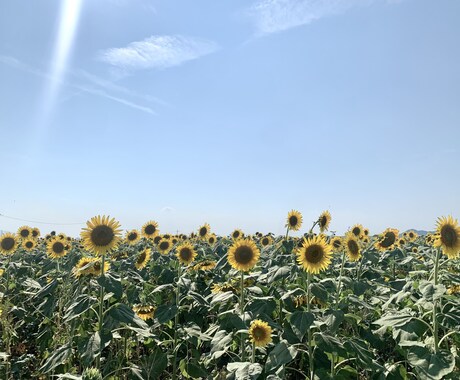 どんなお悩みも一緒に考えます 年齢問わず！私と話してみませんか？ イメージ1