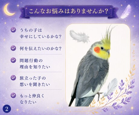 鳥さんの気持ちを丁寧にお伝えします 言葉にならない想いを静かに届けます。 イメージ2