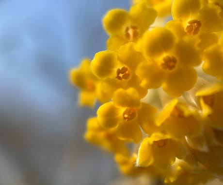 山登りを始めたい方相談のります 山登りのはじめの一歩を踏み出そう！ イメージ1