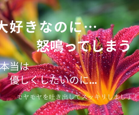 介護のモヤモヤ、聴きます イライラ、罪悪感...どんな想いもそのままで大丈夫です イメージ1