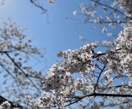 心のお悩み、何でも聴きます 愚痴や不満、寂しさや不安、聴かせてください。 イメージ1