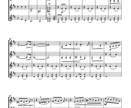 ソロやアンサンブルに編曲いたします お気に入りの作品を室内楽や小編成吹奏楽・管弦楽にア イメージ2