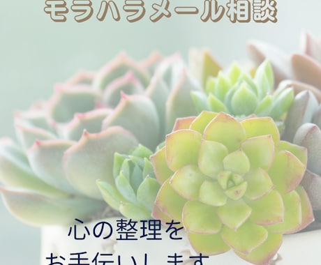単回メッセージ相談｜お試し相談こちらからできます お試しとはいえ、単回の相談です！安心してください。 イメージ2