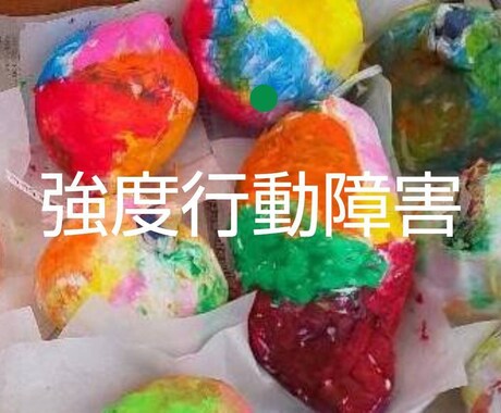 自閉症〜強度行動障害が専門。行動観察から改善します 100名以上の支援実績と国研修講師経験から適切支援技法を伝授 イメージ1