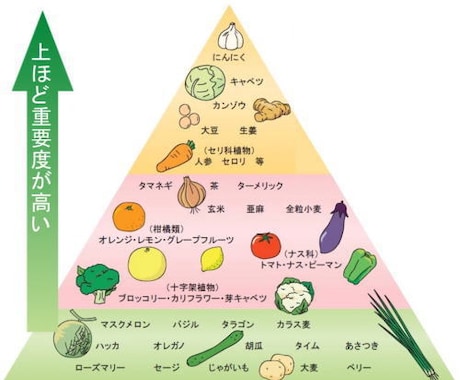 免疫力アップが重要！今日からできること教えます 日頃から免疫力を高めて、自分の体は自分で守ろう!! イメージ1