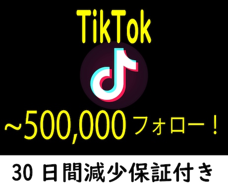TikTok 1000フォロワー拡散増やします ⚡MAX 50万フォロワー迄⚡安心の30日間減少保証付き⚡ イメージ1