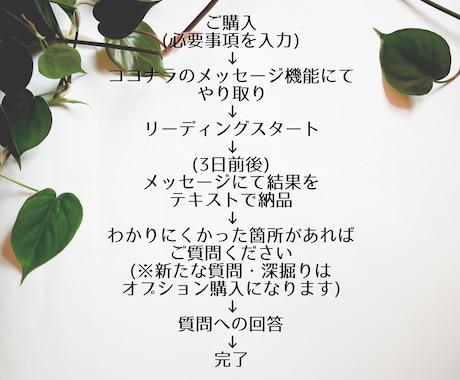 テキスト：生きやすくなる種の発見のお手伝いをします ◎文字数制限なし：人生の流れと本質を見つけるリーディング イメージ2