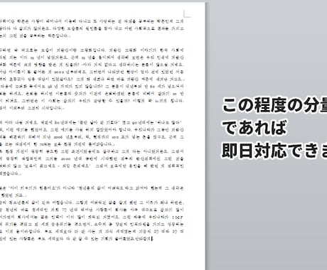 韓国語の入力 承ります 「画像上の韓国語文をテキストファイルにしたい」という方へ イメージ2