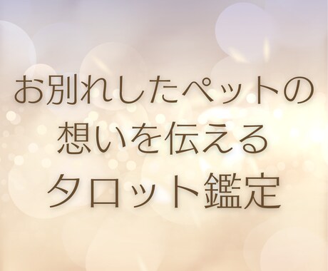 星になった大切なペットの今をリーディングします ペットとあなたのお互いの想いを届け前に進めるようになります イメージ1