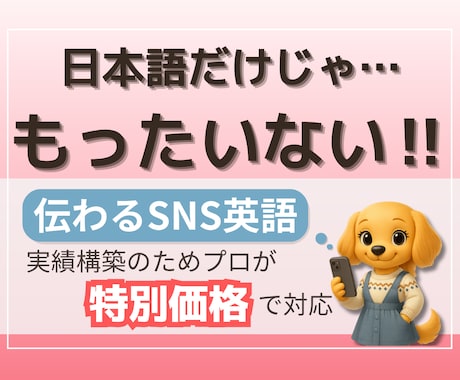 先着5名限定！SNS投稿を自然に翻訳します 出品スタート記念！特別価格です イメージ1