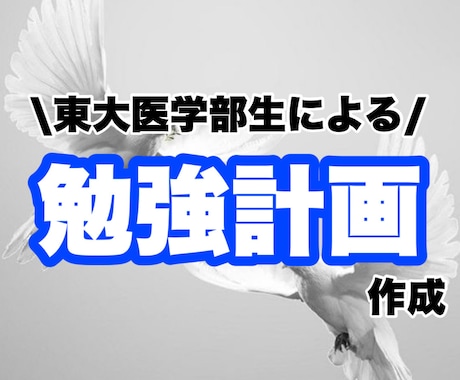 東大医学部生が勉強計画作成、進捗管理します 勉強にお困りの中高生ならどなたでも！ イメージ1