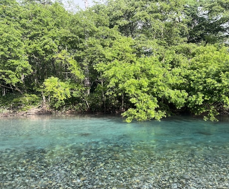 自分自身の特性に気づくお手伝いをします 診断でも、病名をつけるでもなく、あなた自身に向き合います。 イメージ1