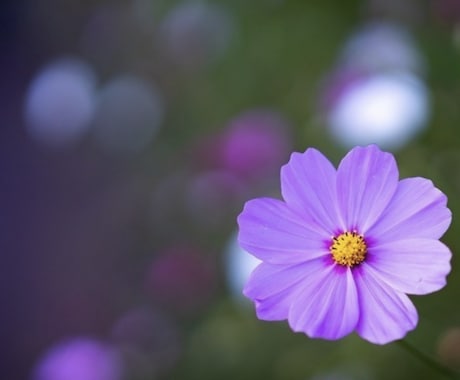 お子様への悩みに寄り添います ⭐︎今、必要なお花からのメッセージをお受け取り下さい！！ イメージ1