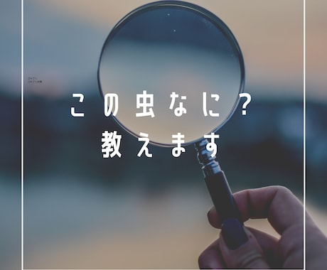 なんか変な虫が出た!これ何?答えます 家の中に変な虫が出たら怖いですよね?答えます。 イメージ1