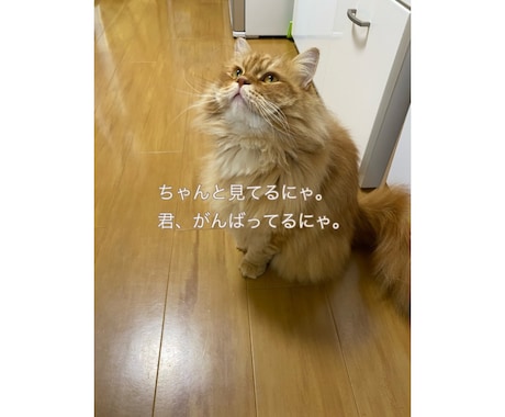 誰かと話したい夜に、寄り添います あなたのこころが満たされますように イメージ2