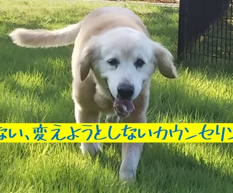 辛いお気持ちを受け止めます 責めない、変えようとしないカウンセリングです。 イメージ1