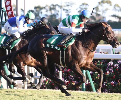 中京芝1600ｍの3年連続プラスデータ教えます 単勝ベタ買い　2020年～2022年のデータ イメージ1