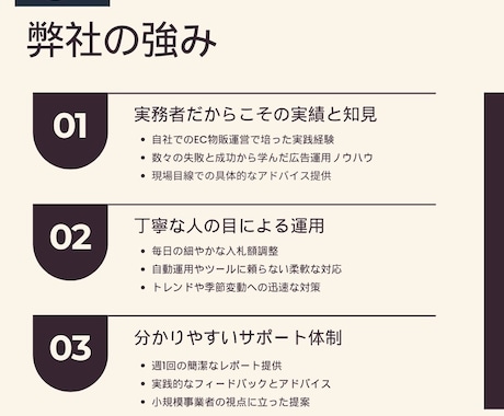現役ECコンサルがAmazon広告運用代行します 現役Amazonコンサルタントが30日間広告運用を代行します イメージ2