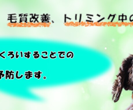 画像を綺麗に切り出します 画像の合成を考えているけどうまくできない人向け イメージ2