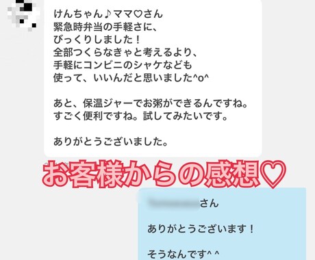 PDFで体育会男子高校生の時短弁当10日分教えます トークルームにてサポート付き！レシピを見たい方向けです。 イメージ2