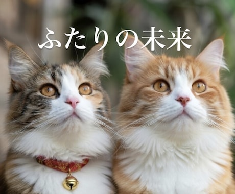 ふたりの未来をみます 3ヶ月以内の転機をお伝えします。 イメージ1