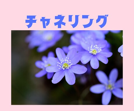 1名様限定☆1ヶ月ハッピーに生きるヒント届けます はじめましての方へ霊聴・霊視透視✨お勧め1位獲得者が鑑定 イメージ1