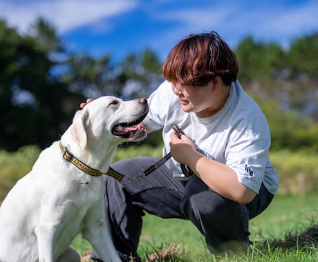 その子に合うトレーニング方法をご提案します 愛犬との最高のパートナーを目指して！ イメージ1