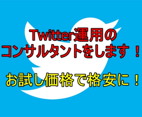 お試し価格！Twitterの運用コンサルをします 2カ月で5000人達成した私が、徹底コンサルタントします！ イメージ1