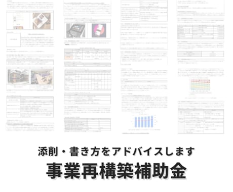 事業再構築補助金の事業計画書を添削します 事業計画書の改善の方向性の確認でご活用ください。認定支援機関 イメージ2