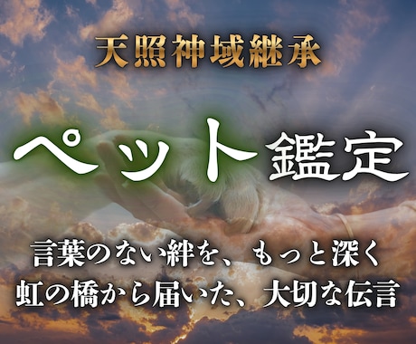 言葉のない絆を心の声で分かりやすくつなぎます 言葉を超えた深い愛とあの子が今一番伝えたい願いを読み解きます イメージ1