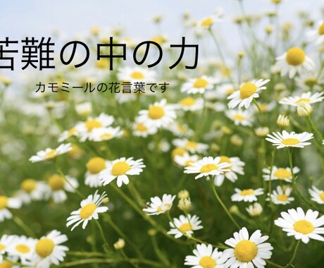 前向きになる魔法の会話をお約束します 5分で前向き、10分で元気に( 'ω' )و イメージ2