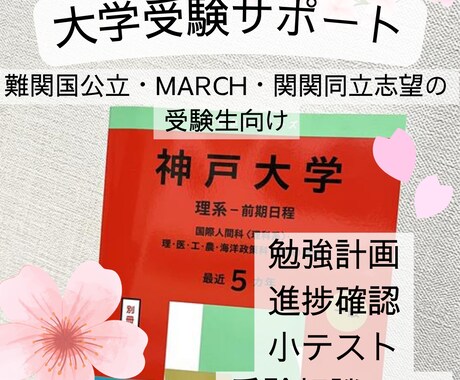 現役阪大生が難関大志望高校生の受験サポートをします 勉強計画や進捗状況確認、小テストなどあなたに合ったサポートを イメージ1