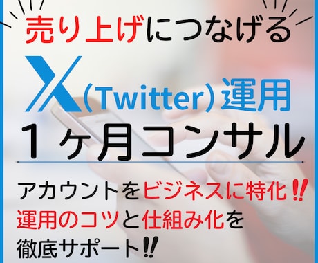 X（Twitter）運用の収益化コンサルします 【投稿しても売れない…そんなあなたへ】販売15件まで特別価格 イメージ1