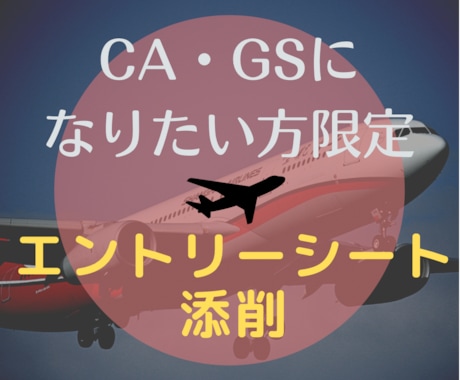 航空会社のエントリーシート【CA・GS】添削します 元CA・現役面接対策講師が納得がいくまでとことん付き合います イメージ1