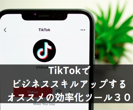 動画SNSで集客したい人にツールを提供します TikTokのツールとユーチューブ動画の作り方 イメージ2